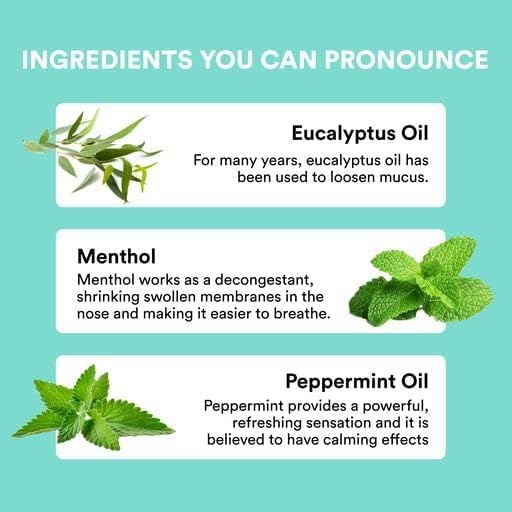 Nasal Stick | Vapor Flow Technology | Cool Refreshing Sensation | Natural Mood Boost | Simple Ingredients | Essential Oils + Menthol Inhaler (Mint, Wintermint, Tropical, Spearmint)